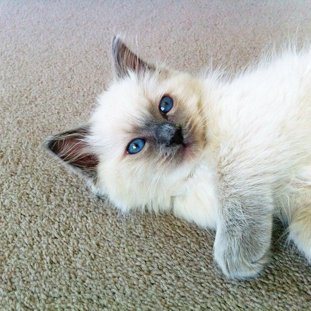 a5da06efe145f28b5617e4bebc9c256a