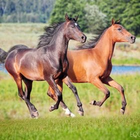 d4ct8ut 83671235 6150 41d0 9244 c6f16f27ee2c