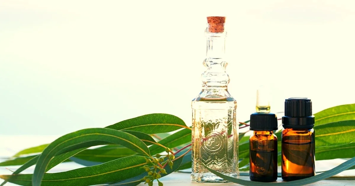 The Best Volufiline oil that will make you fall in love with your skin! 47 volufiline oil