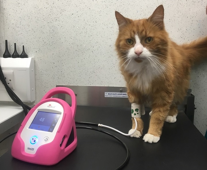 Pet Blood Pressure Monitor