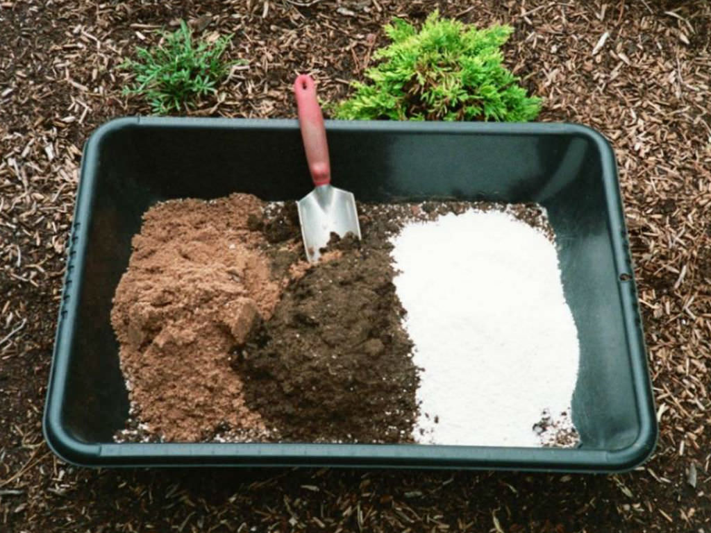 coarse sand for plants