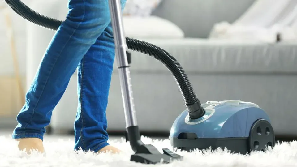 Most Expensive Vacuum Cleaner 