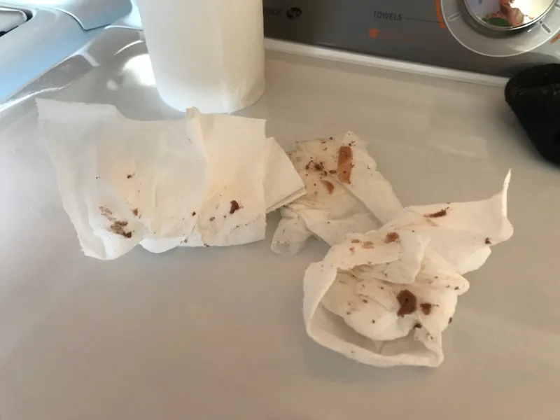 brown flakes in washing machine